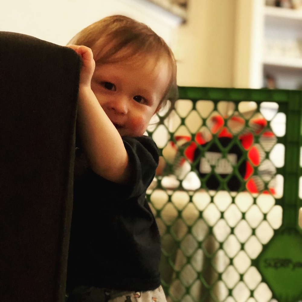 Meet your Posher, Phil